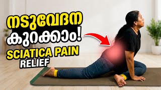 നടുവേദന മാറാനുള്ള സിംപിൾ യോഗ മുറകൾ | Back Pain Relief Yoga Workout | Back Pain Workout | Yogasana