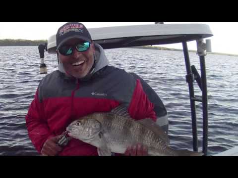Black Drum  Fishing  In Everglades Nat. Park JoeyFlatsFishing .com