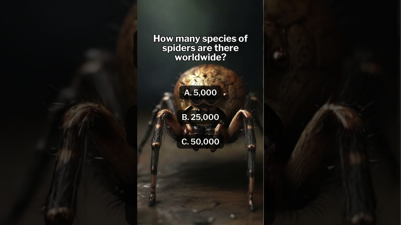 🎯 Tell us your score! 🧠 Subscribe for daily challenges! 