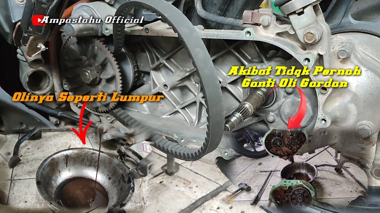 Begini Akibatnya Jika Tidak Pernah Ganti Oli Gardan