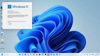 Fix Version 25H2 Not Installing Error 0x800700c1 On Windows 11