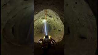 Desert Scorpion POV: Tiny Camera Reveals a Massive Hidden Underground Colony  #microcamera