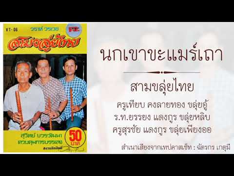 นกเขาขะแมร์เถา : สามขลุ่ยไทย