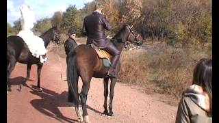 Свадьба на лошадях.avi Свадьба на лошадях.avi