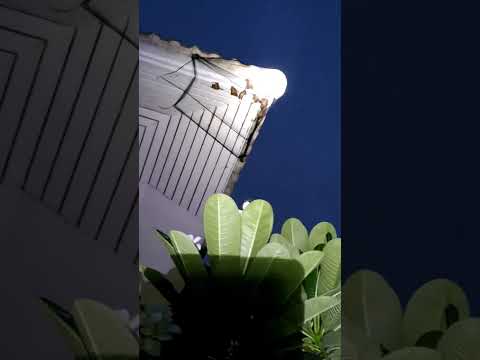 ผลสลากกินแบ่งรัฐบาล วันที่ 1 พย. 2567