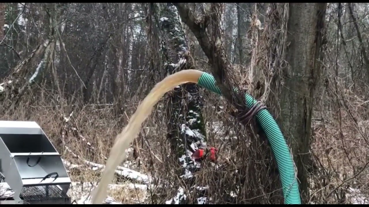 Поиск Золота  с уверенностью на все 100 !  - потому что   Дипсис !!! 