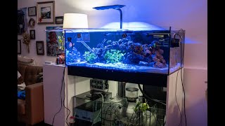 New Reef Tank Build - Waterbox 105.4 Frag - Part 3 Cycle and Tank Transfer