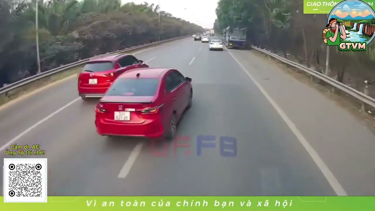 Даже пожилым горбунам трудно выбраться