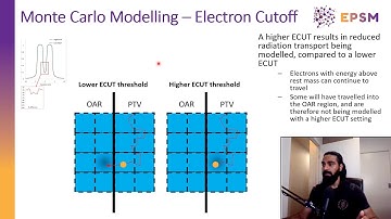 Monte Carlo investigation on the effect of penumbra modelling on OAR dosimetry - EPSM