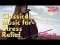 Classical Music for Stress Relief: Beautiful Relaxing Music, Sleep Music, Ambient Study Music