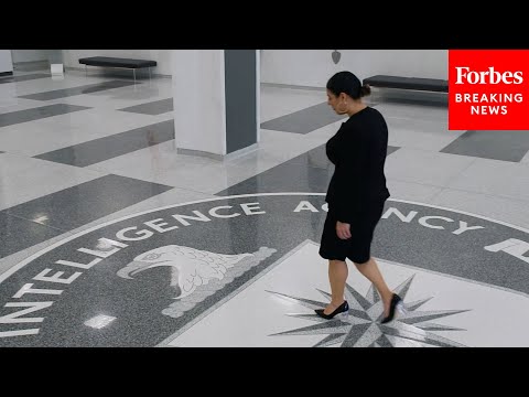 Viral CIA Recruitment Video Features "Cisgender Millennial" Who Says "I Am Unapologetically Me"