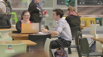 Peer Mentoring Program - Mentor