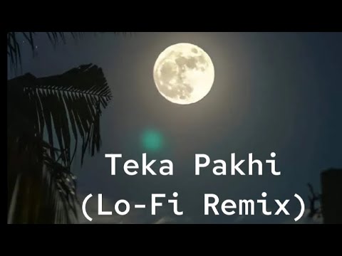 Teka Pakhi - (Lo-Fi remix) / Dui Diner Duniya | Emon | Masha | Anam