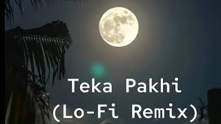 Teka Pakhi - (Lo-Fi remix) / Dui Diner Duniya | Emon | Masha | Anam