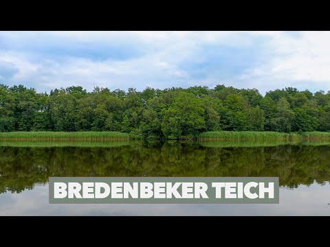 Rundwanderung Bredenbeker Teich | 4K UHD