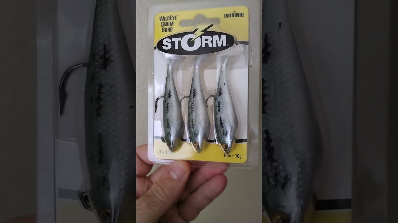 Wild Eye Swim Shad: STORM Lure for fishing!