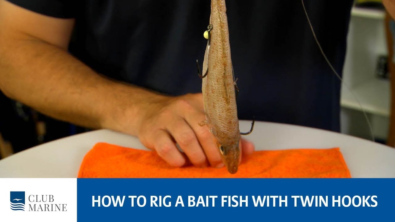 How to rig a baitfish with a double hook rig - fishing tip by Paul  Worsteling
