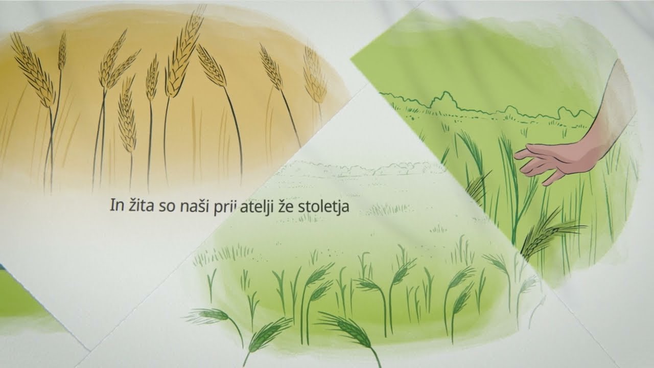 Amistar Max... Vaš zaupanja vreden partner za varstvo žit