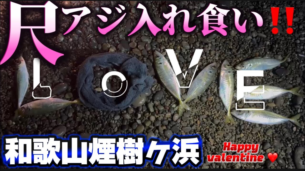 【尺アジ入れ食い】煙樹ヶ浜🐟今ココが激アツです‼️Happy Valentine🩷