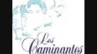 Video thumbnail of "los caminantes jure no tomar 0001"