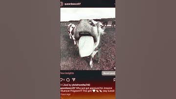 Excited to Share My Favorites Through the Amazon Influencer Program!