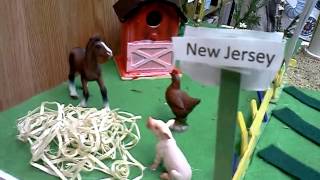 New Jersey State float by Fortune Teller