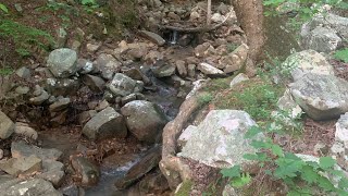 Holson Valley Loop  Ouachita National Forest