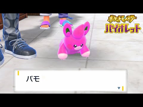 色違いパモさんWatchしたい配信｜ポケモン バイオレット