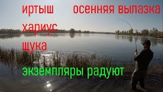 Две вылазки на реку Иртыш. Рыбалка на хариуса и щуку