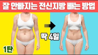 🔥보기싫은 전신 지방🔥 양심적으로 오늘 많이 먹었으면 들어오세요. (전신운동 다이어트/칼로리폭발운동)