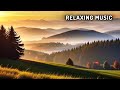 Relaxing music to rest the mind  meditation music nature music heals the heart and blood vessels