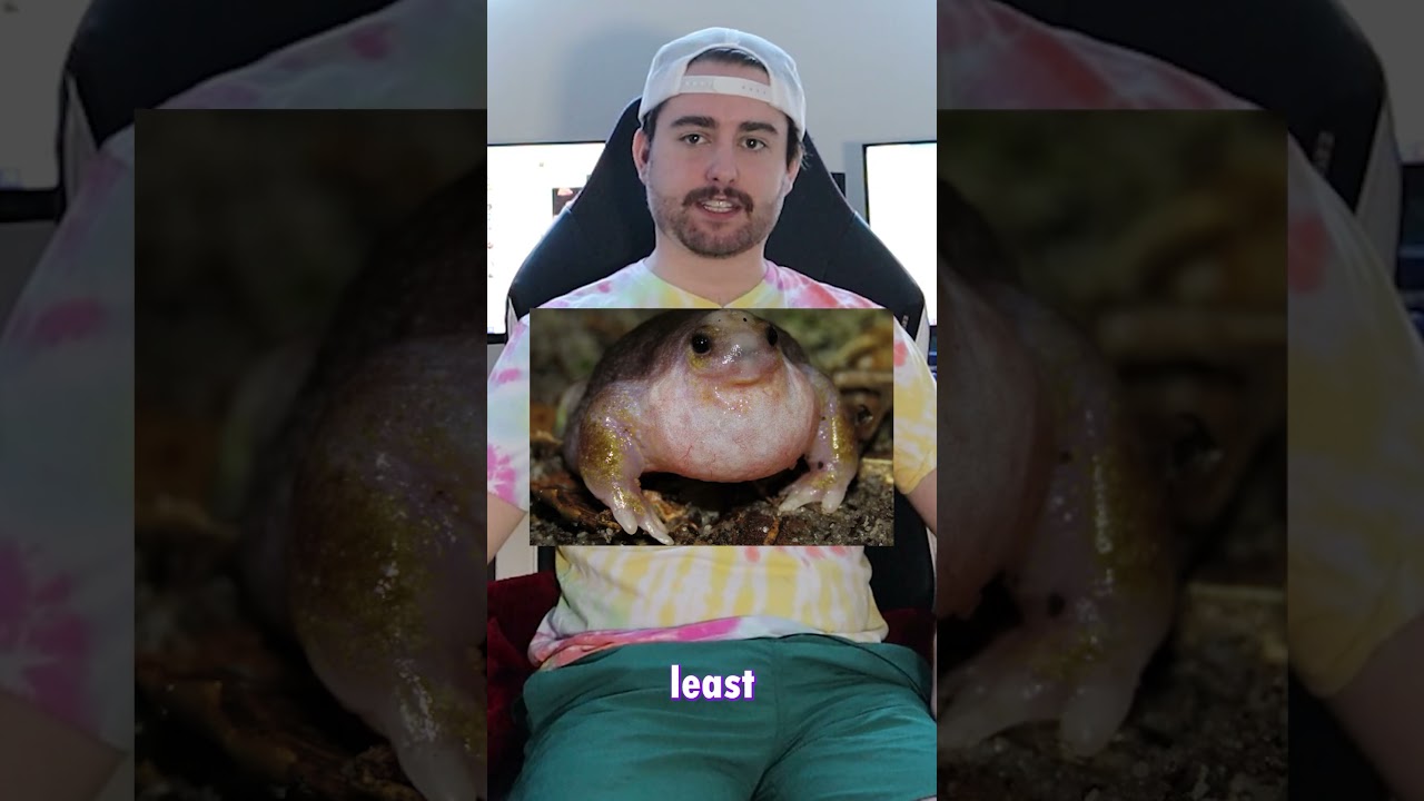 Самые странные лягушки в природе 