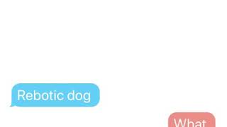 A RANT ON REBOTIC DOG!!!😡😡😡(ALSO ANGRIER THAN THE RANT ON WERT DER FERK)