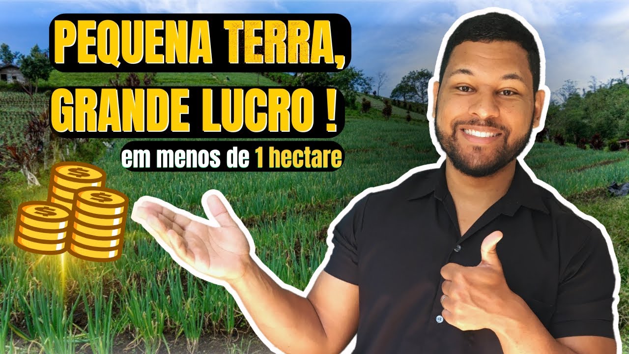 5 Culturas Mais Rentáveis Para Pequenas Propriedades (1 Hectare)