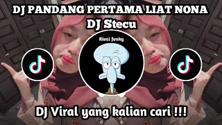 DJ PANDANG PERTAMA LIAT NONA LANGSUNG SUKA | DJ STECU SLOW🔥VIRAL TIKTOK 2025 YANG KALIAN CARI!!!