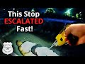From Calm to Chaos! The 5-Minute Traffic Stop That Went Wrong