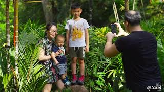 Wildseed Café at The Garage – A Nature-Inspired Café in the Heart of Singapore Botanic Gardens