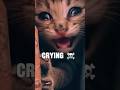 Emotional Rescue: Transformation and Unlikely Friendship! 🥺🐱 #shorts  #rescue