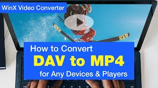 How to Convert DAV Files to MP4 for Playing on Any Devices & Players screenshot 5