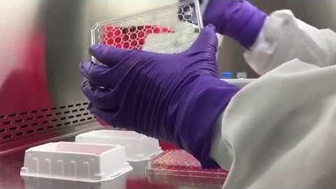FlowMetric - (RO) Receptor Occupancy Assay Techniques