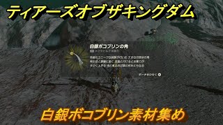 ゼルダの伝説ティアーズオブザキングダム 白銀ボコブリン素材集め 素材集めの場所 #477 【ティアキン】