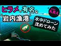 “ヒラメの有名スポット” 水中ドローンで丸裸に….【PowerRayWizard】