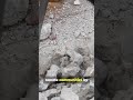 Tragic Earthquake Strikes Afghanistan: Over 250 Dead  #news #earthquake #afghanistan #crisis #kunar