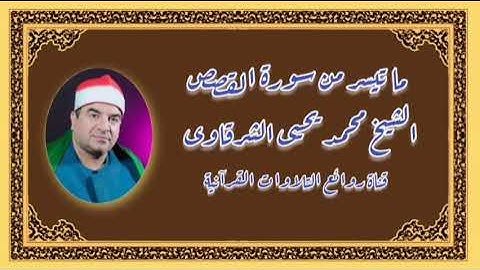سورة القصص (68-88) - الشيخ محمد يحيى الشرقاوى