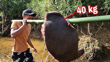 Nướng Thịt Của Rừng Núi | Thịt Trâu Gác Bếp ( phần 1) Sang Vlog