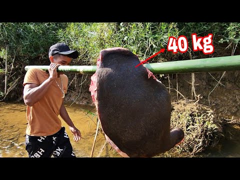 Video Nướng Thịt Của Rừng Núi | Thịt Trâu Gác Bếp ( phần 1)... - youtube