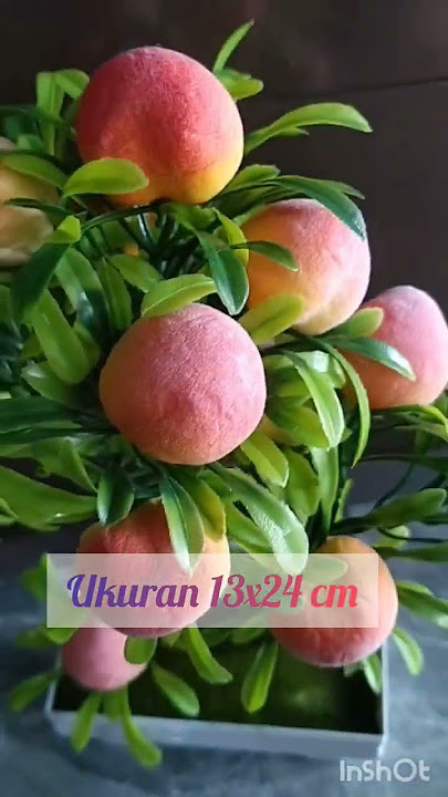 tanaman hias palsu #dekorasirumah #pernakpernikunik #affiliate #hiasandinding