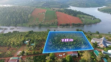 BÁN LÔ ĐẤT 1HA CÀ PHÊ VÀ TIÊU– VIEW HỒ CỰC ĐẸP – KHU DÂN CƯ ĐÔNG ĐÚC– VỊ TRÍ ĐẮC ĐỊA  - 0911761968