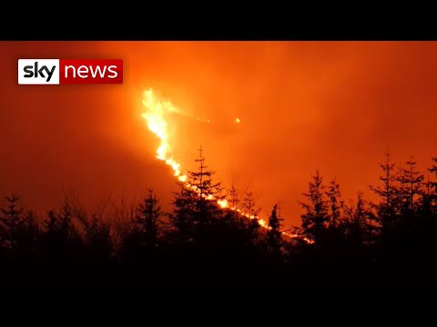 'Major incident' declared over wildfire in Northern Ireland.