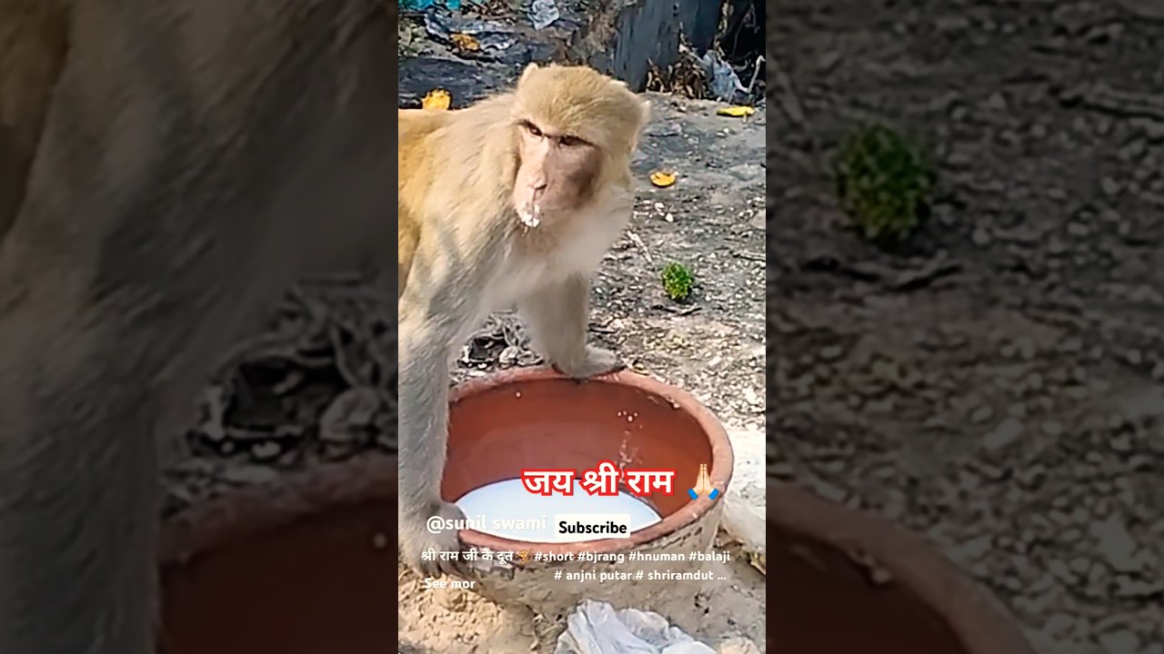 श्री राम जी दूत 🐒 short 